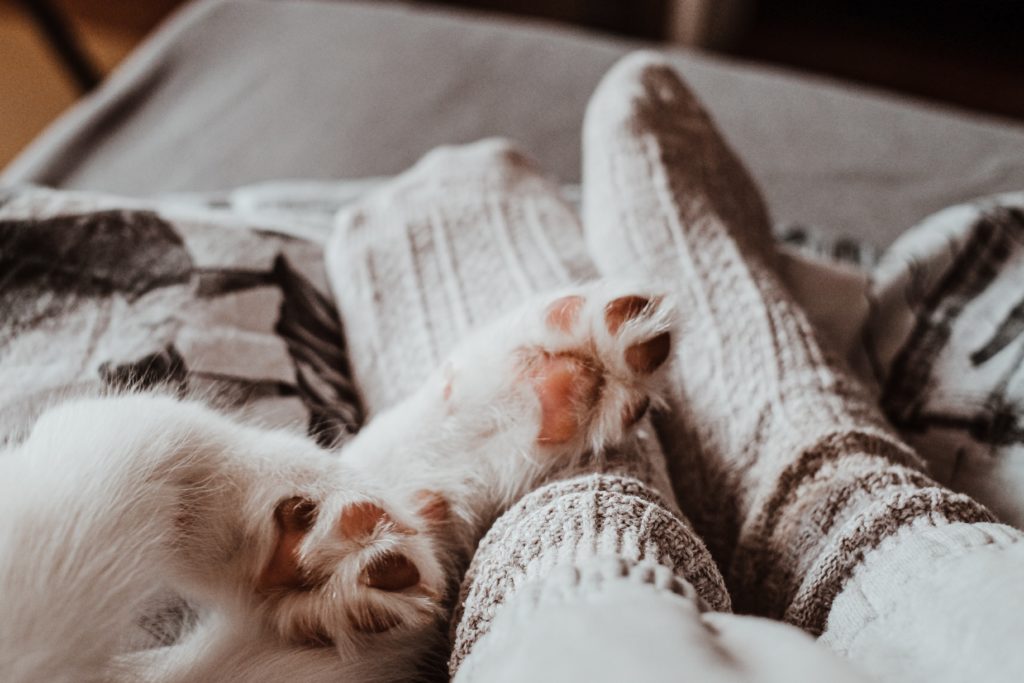 Image of cozy warm socks with animal paws over the feet.